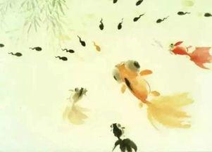 蝌蚪网国产,蝌蚪网引领绿色科技新潮流 第2张 蝌蚪网国产,蝌蚪网引领绿色科技新潮流 第2张