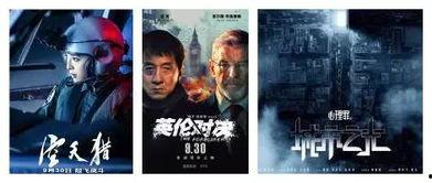 国产大片毛片,毛片背后的光影传奇 第3张 国产大片毛片,毛片背后的光影传奇 第3张